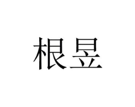 根昱商标原图 第05类医药