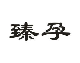 臻孕商标原图 第05类医药
