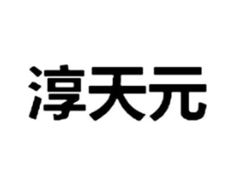 淳天元商标原图 第05类医药