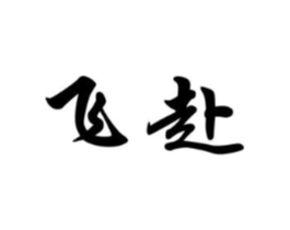 飞赴商标原图 第05类医药