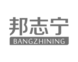 邦志宁商标原图 第05类医药
