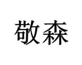 敬森商标原图 第05类医药