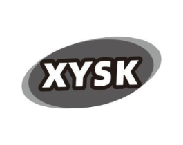 XYSK商标原图 第05类医药