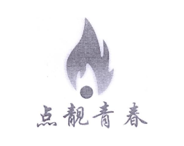 点靓青春商标原图 第05类医药