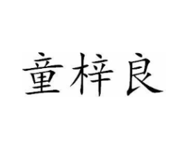 童梓良商标原图 第05类医药