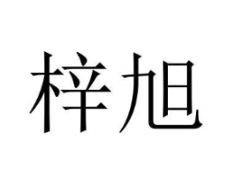 梓旭商标原图 第05类医药