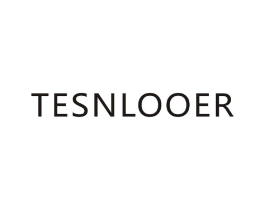 TESNLOOER商标原图 第07类机械设备