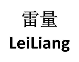 雷量商标原图 第07类机械设备
