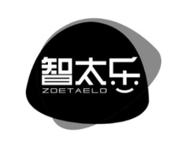 智太乐 ZOETAELO商标原图 第07类机械设备