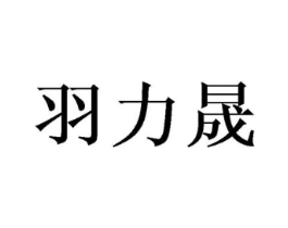 羽力晟商标原图 第08类手工器械