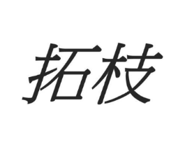 拓枝商标原图 第08类手工器械