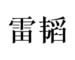 雷韬商标原图 第08类手工器械