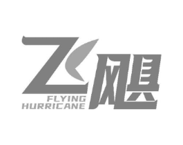 飞飓 FLYING HURRICANE商标原图 第08类手工器械