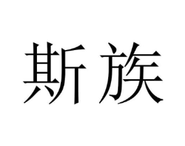 斯族商标原图 第09类科学仪器