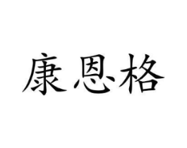 康恩格商标原图 第09类科学仪器