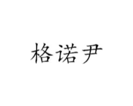 格诺尹商标原图 第09类科学仪器