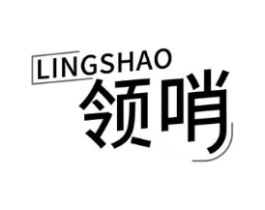 领哨商标原图 第09类科学仪器
