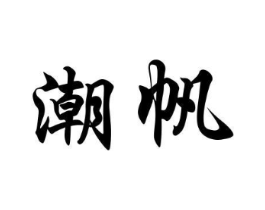 潮帆商标原图 第09类科学仪器