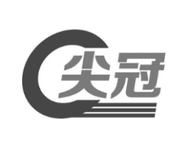尖冠商标原图 第09类科学仪器