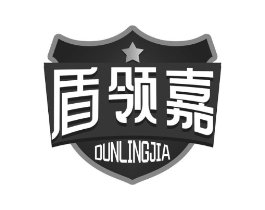 盾领嘉商标原图 第09类科学仪器