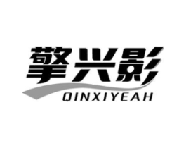 擎兴影 QINXIYEAH商标原图 第09类科学仪器