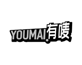 有唛商标原图 第09类科学仪器