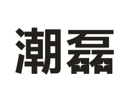 潮磊商标原图 第09类科学仪器