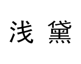浅黛商标原图 第09类科学仪器