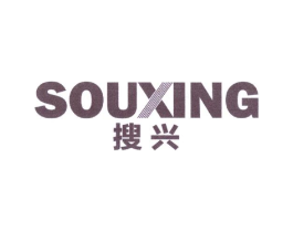 搜兴商标原图 第09类科学仪器