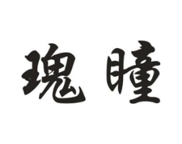 瑰瞳商标原图 第09类科学仪器