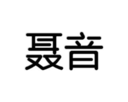 聂音商标原图 第09类科学仪器