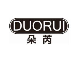 朵芮商标原图 第09类科学仪器