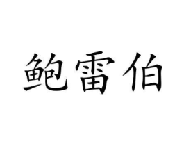 鲍雷伯商标原图 第09类科学仪器