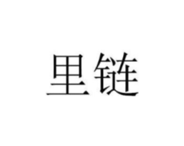 里链商标原图 第09类科学仪器