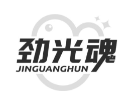 劲光魂商标原图 第09类科学仪器