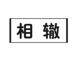 相辙商标原图 第09类科学仪器