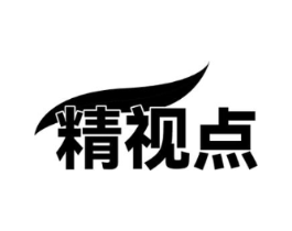 精视点商标原图 第09类科学仪器