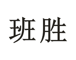 班胜商标原图 第09类科学仪器