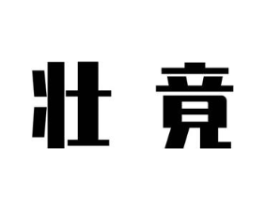 壮竟商标原图 第09类科学仪器
