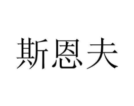 斯恩夫商标原图 第09类科学仪器
