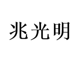 兆光明商标原图 第09类科学仪器
