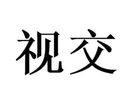 视交商标原图 第09类科学仪器