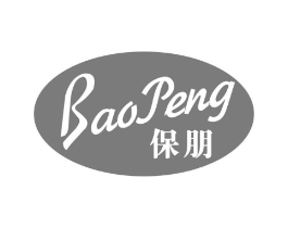 保朋商标原图 第09类科学仪器