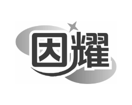 因耀商标原图 第09类科学仪器