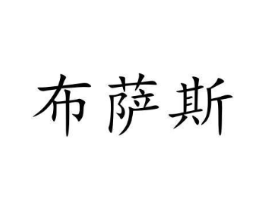 布萨斯商标原图 第09类科学仪器