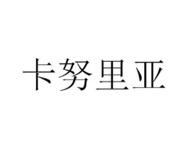 卡努里亚商标原图 第09类科学仪器