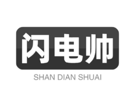 闪电帅商标原图 第09类科学仪器