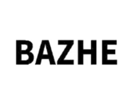 BAZHE商标原图 第09类科学仪器