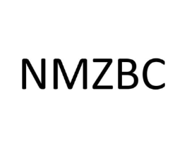 NMZBC商标原图 第09类科学仪器