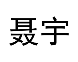 聂宇商标原图 第09类科学仪器